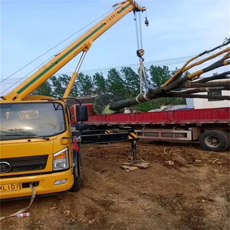 远安100吨吊车租赁费用怎么算？3大关键因素+省钱技巧全解析